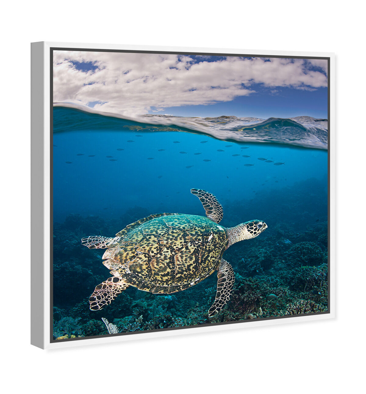 40x40/Framed Canvas/WFL