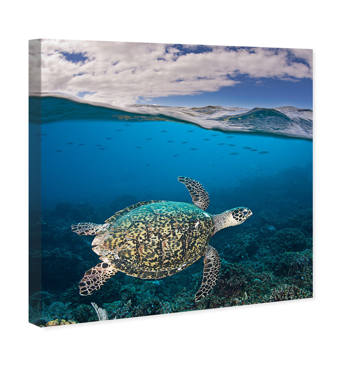 40x40/Canvas/XHD