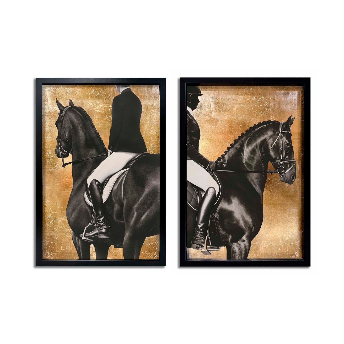 Taming the Rhythm Gold Set