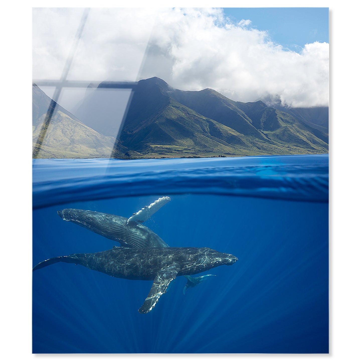 36x45/Acrylic/Unframed