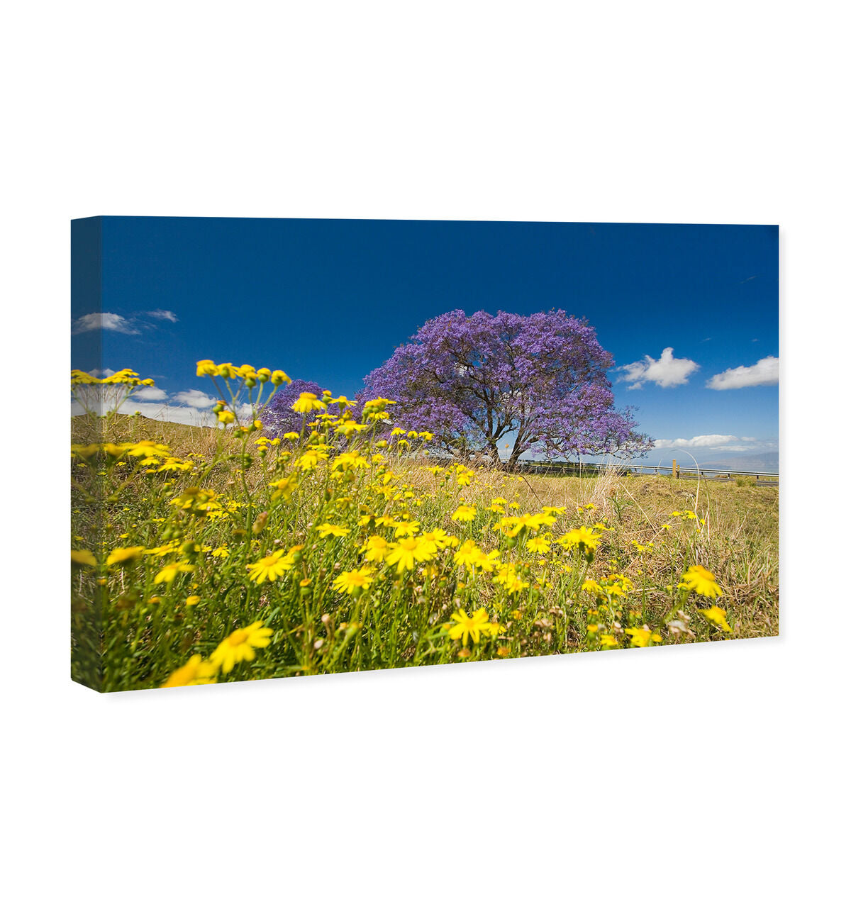 54x36/Canvas/XHD