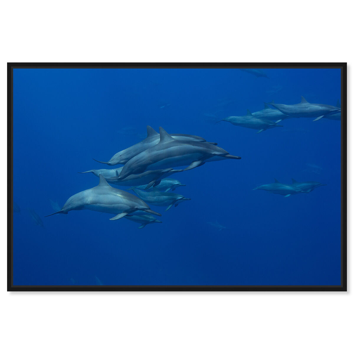 54x36/Framed Canvas/BFL