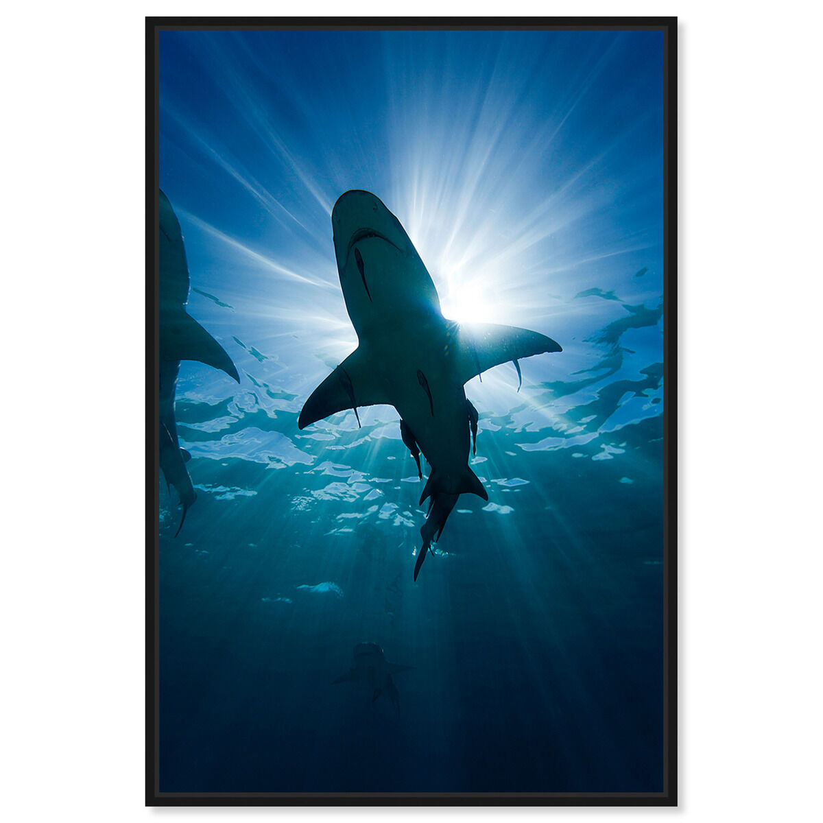 36x54/Framed Canvas/BFL