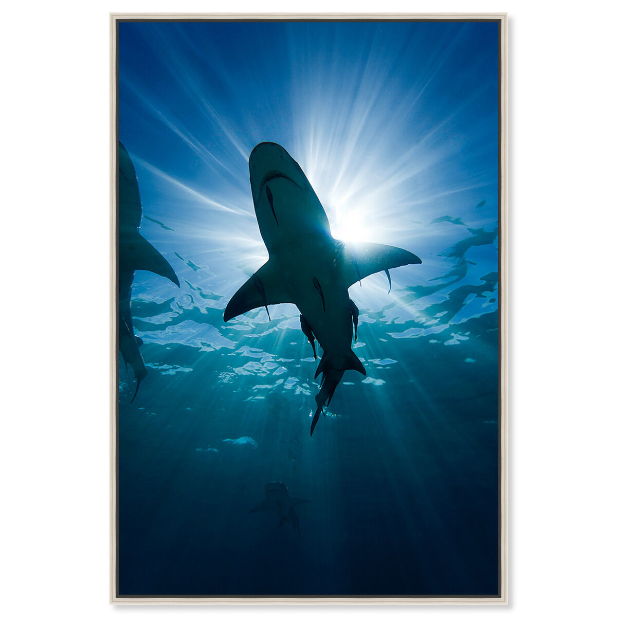 36x54/Framed Canvas/CFL
