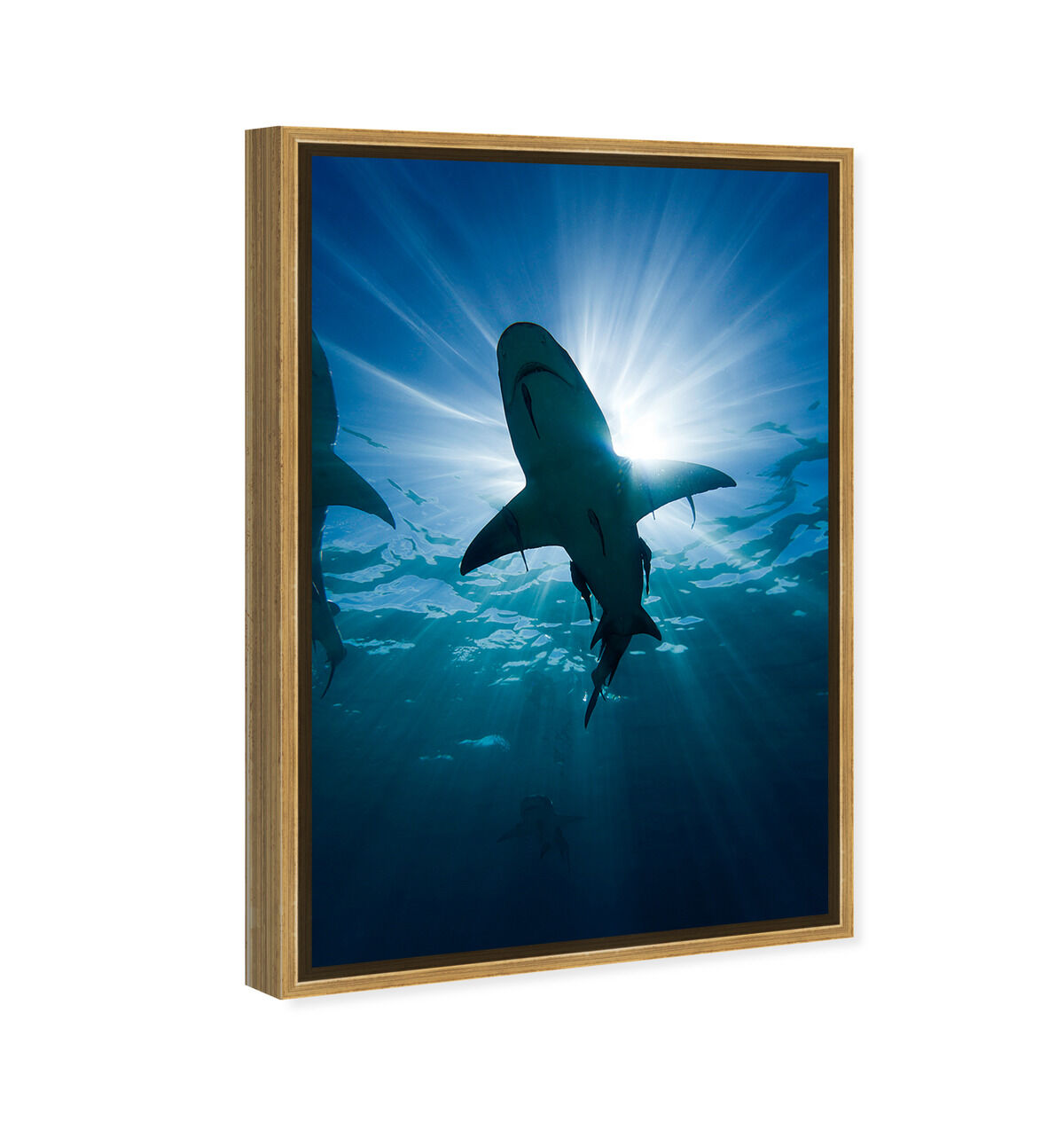 36x54/Framed Canvas/PSGLD