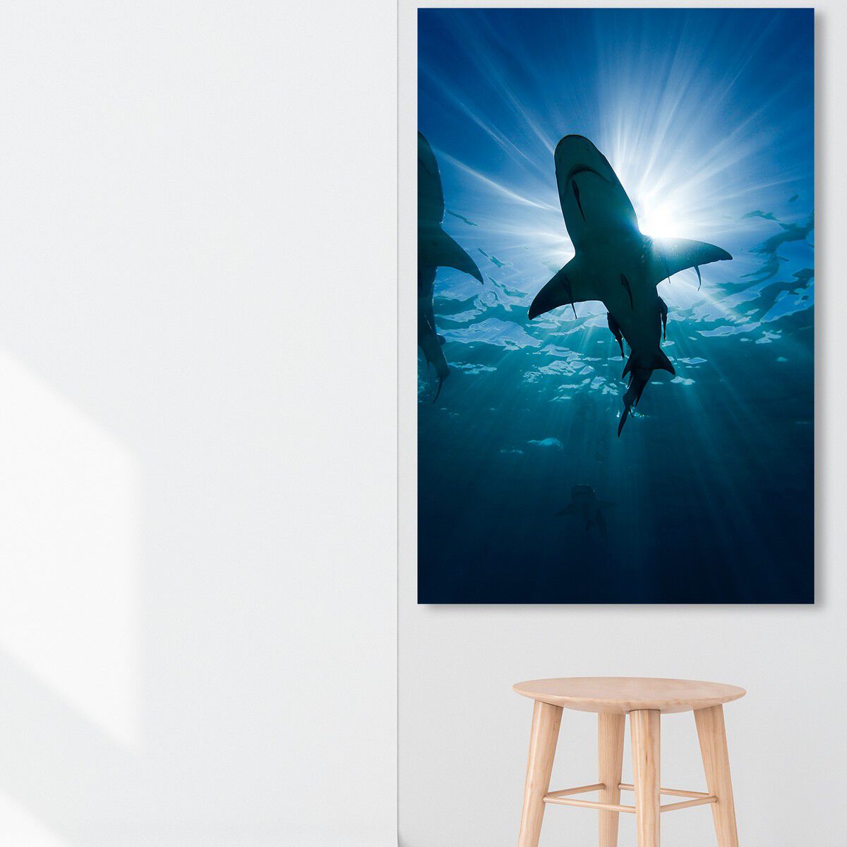 36x54/Canvas/XHD