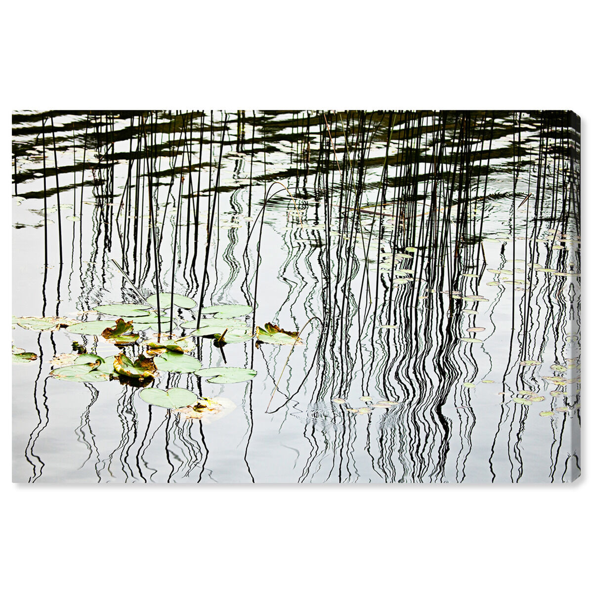 54x36/Canvas/XHD