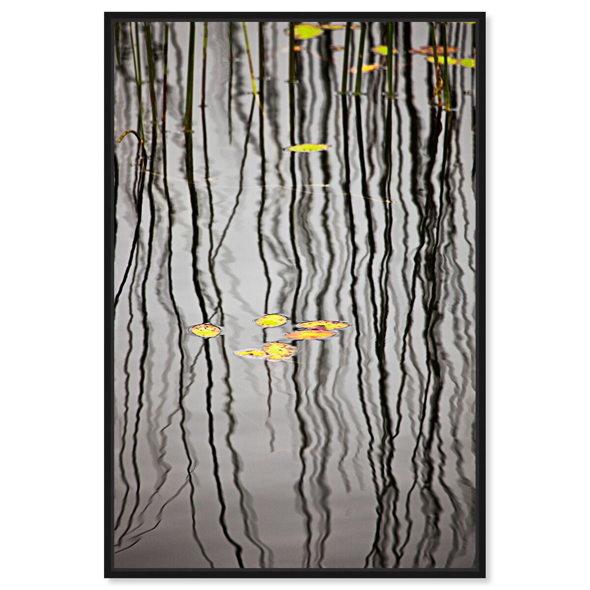 36x54/Framed Canvas/BFL