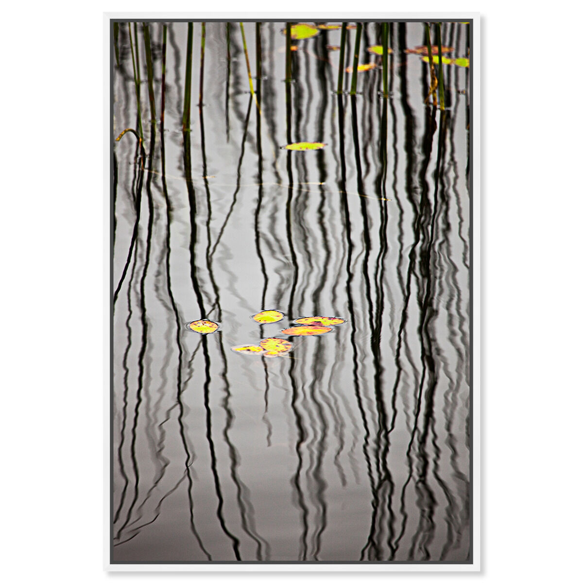 36x54/Framed Canvas/WFL