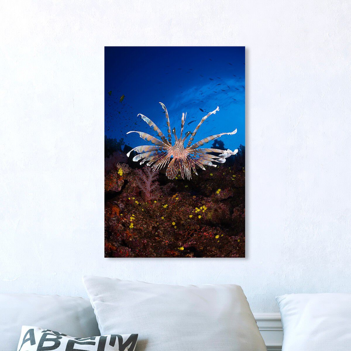 36x54/Canvas/XHD