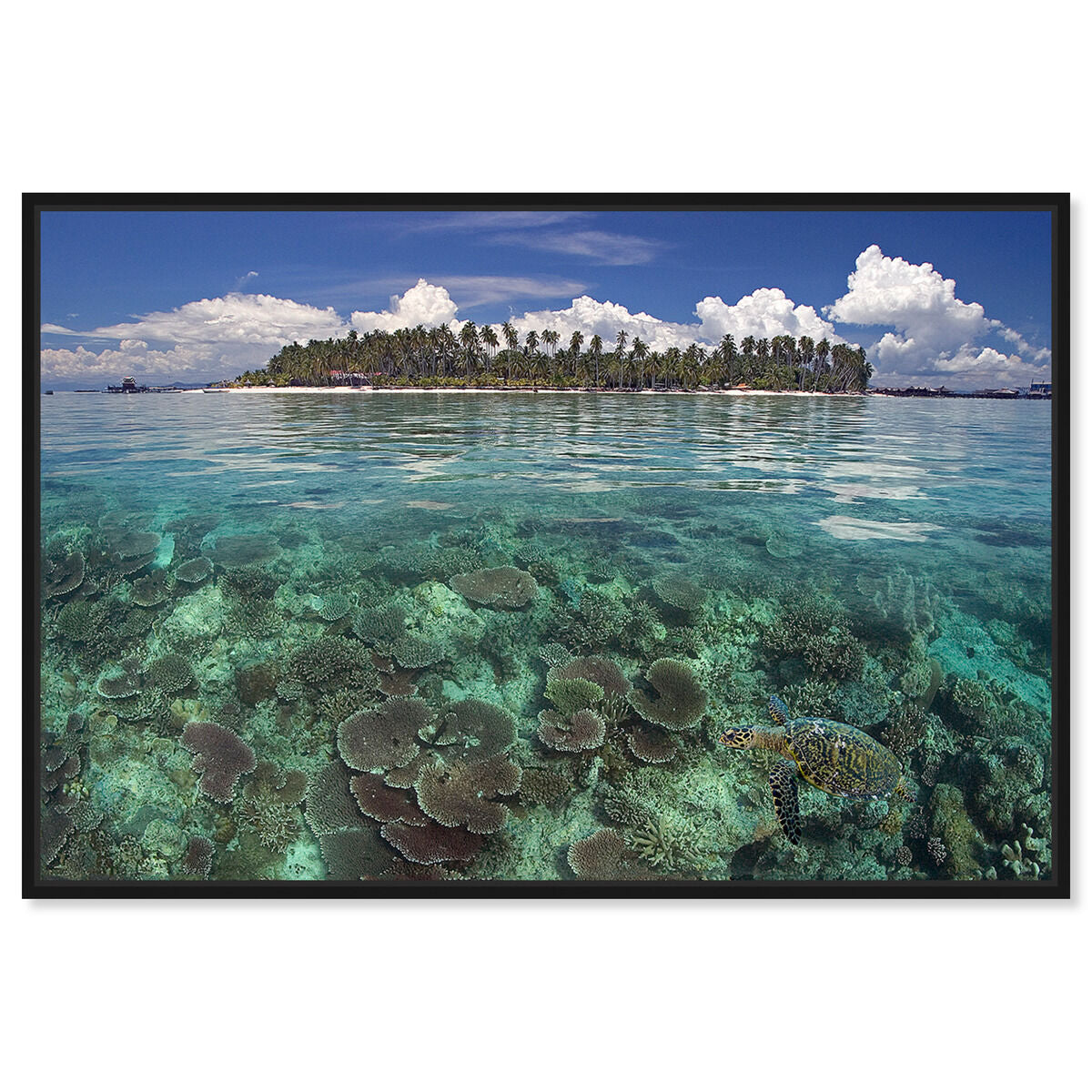 54x36/Framed Canvas/BFL