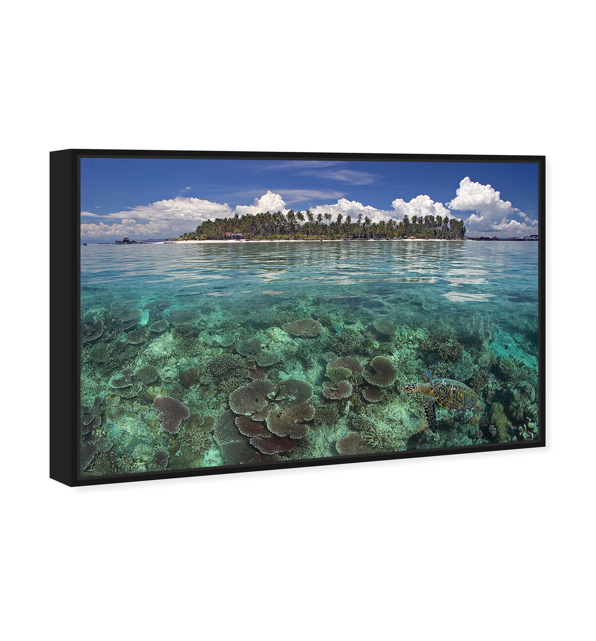 54x36/Framed Canvas/BFL