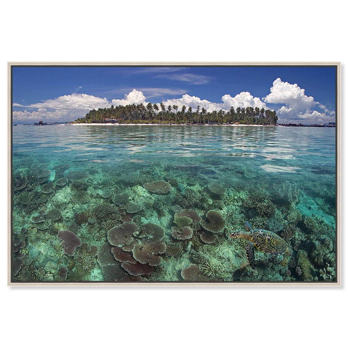 54x36/Framed Canvas/CFL