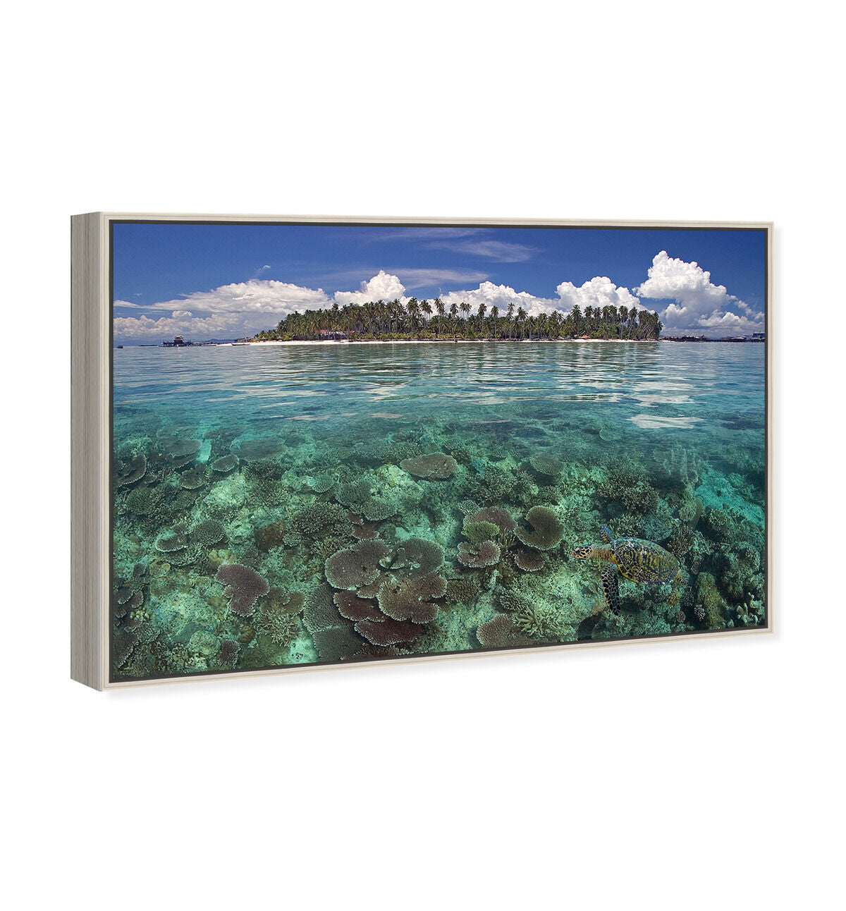 54x36/Framed Canvas/CFL