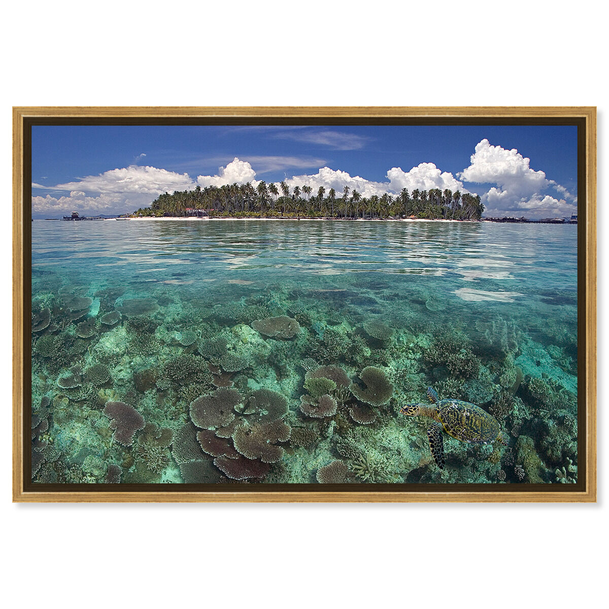 54x36/Framed Canvas/PSGLD
