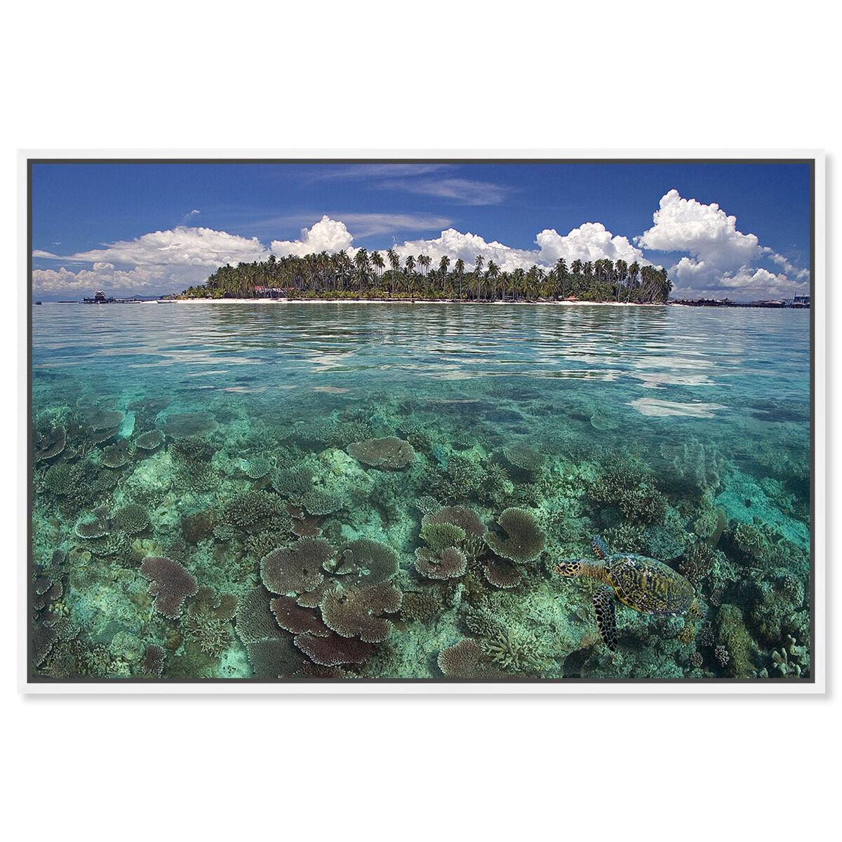54x36/Framed Canvas/WFL