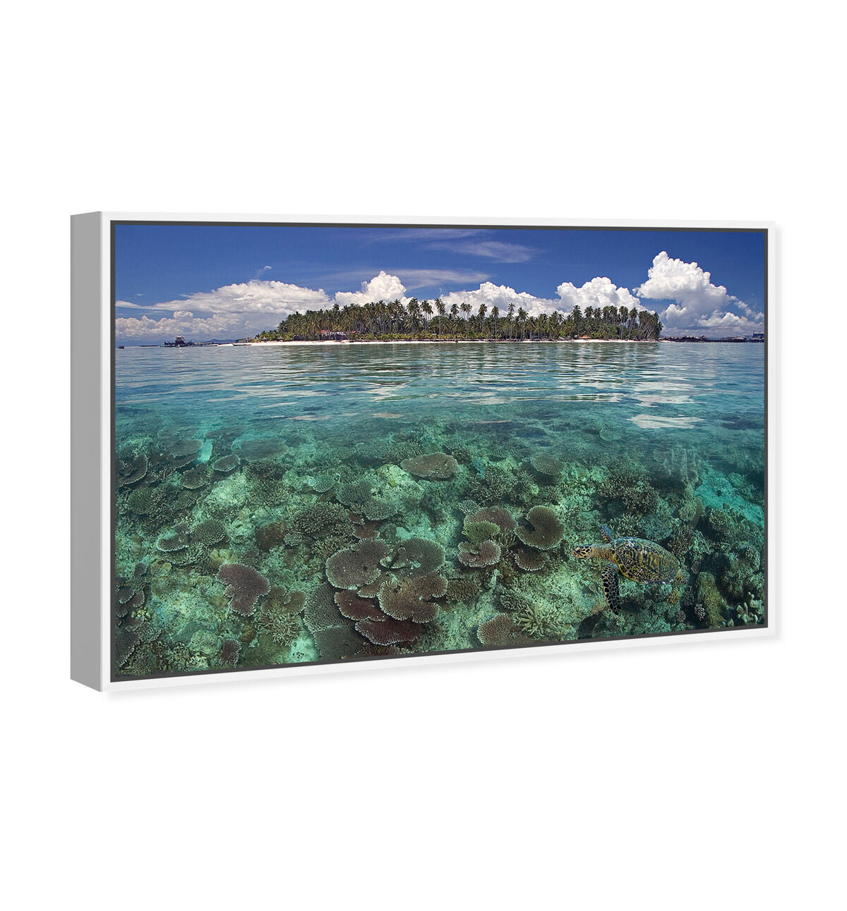 54x36/Framed Canvas/WFL