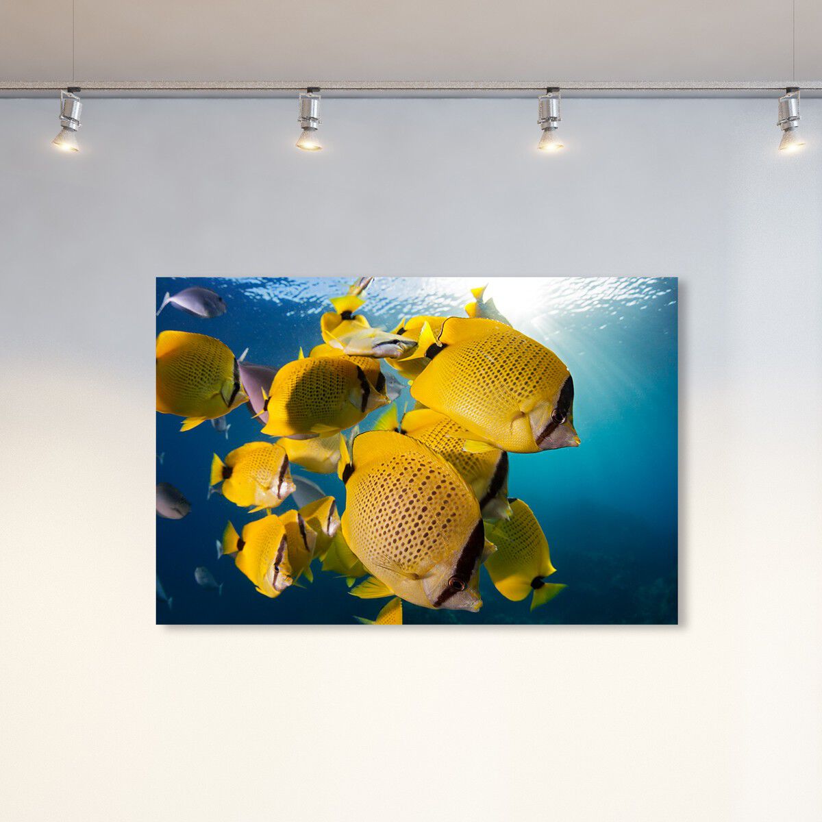 54x36/Canvas/XHD