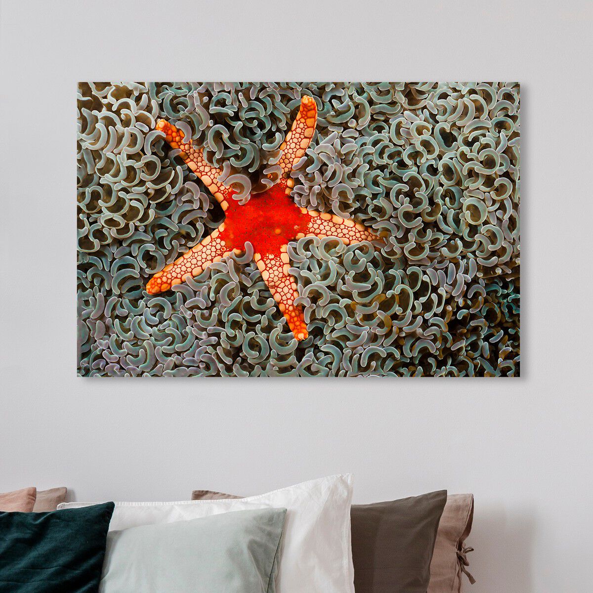 54x36/Canvas/XHD