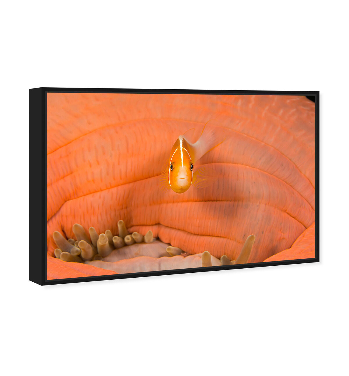 54x36/Framed Canvas/BFL