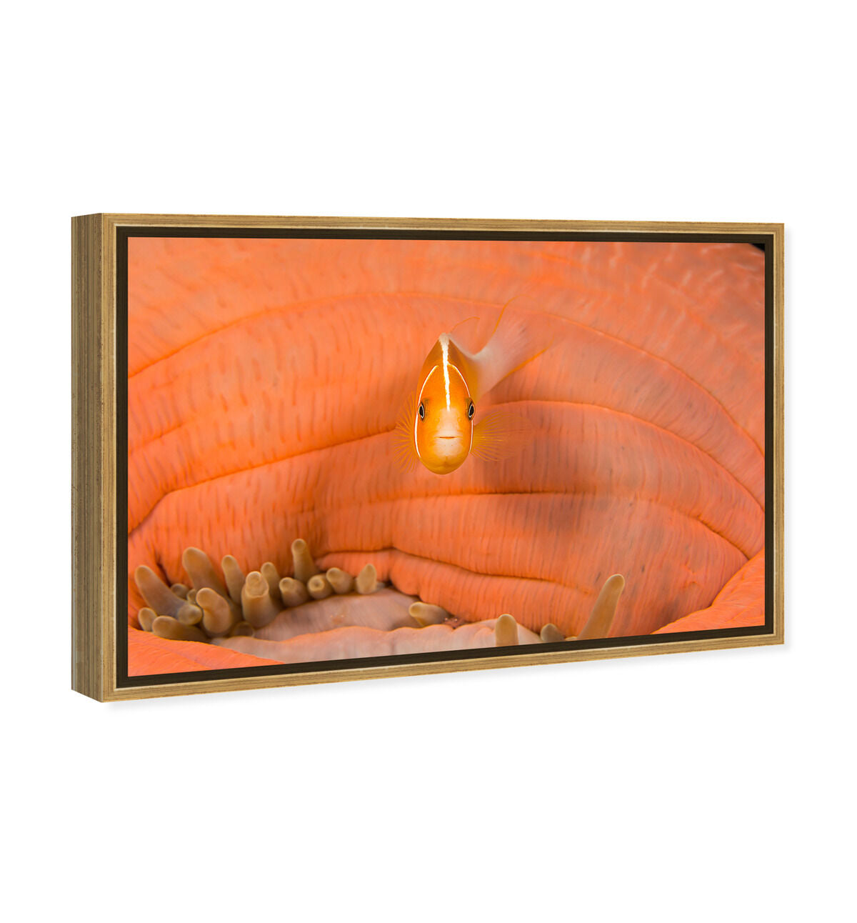 54x36/Framed Canvas/PSGLD