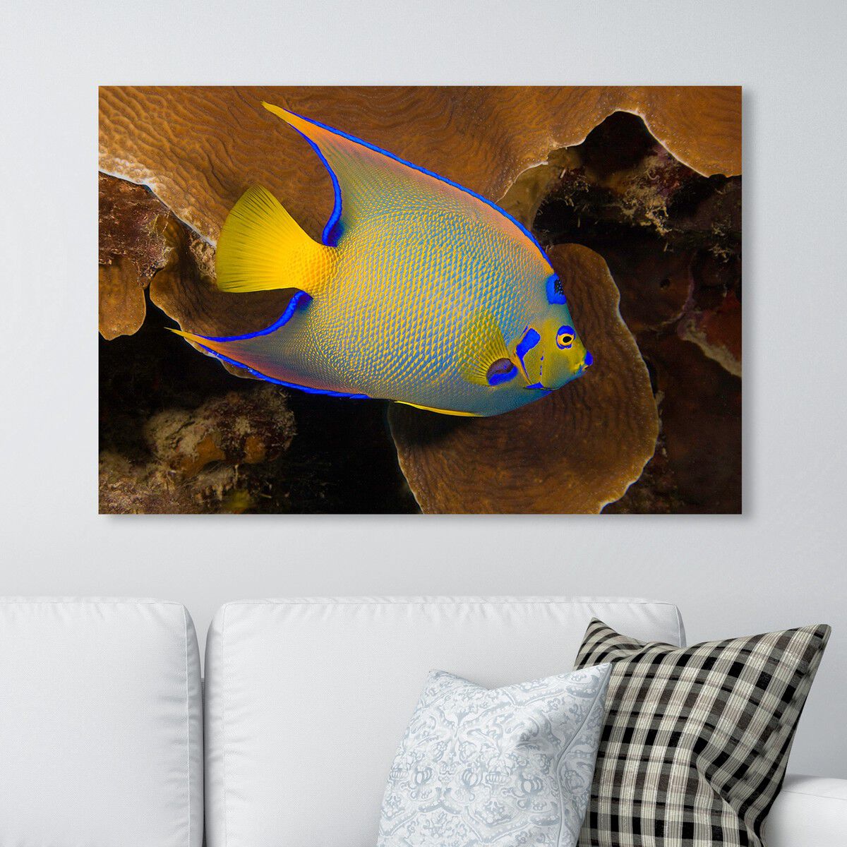 54x36/Canvas/XHD