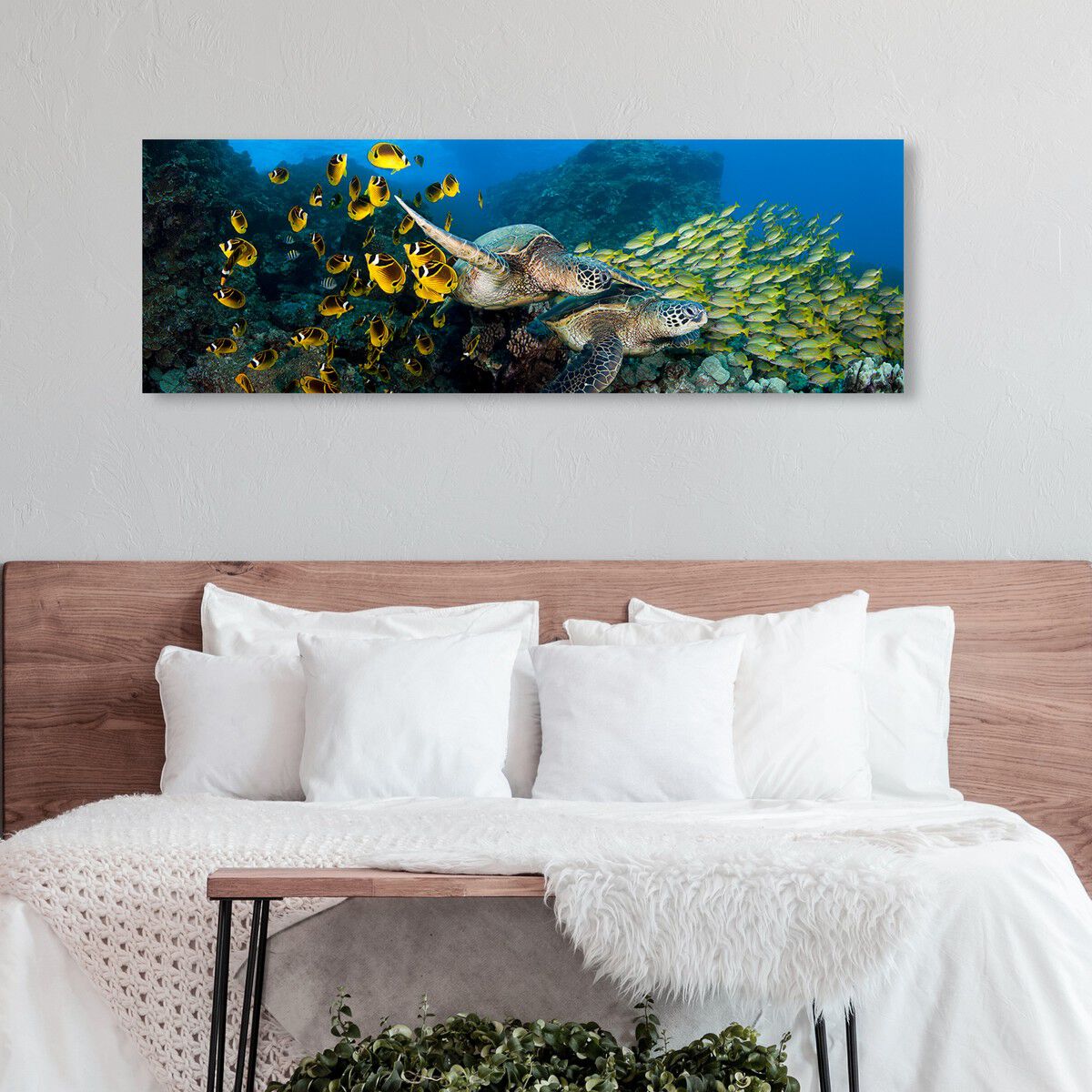 54x20/Canvas/XHD