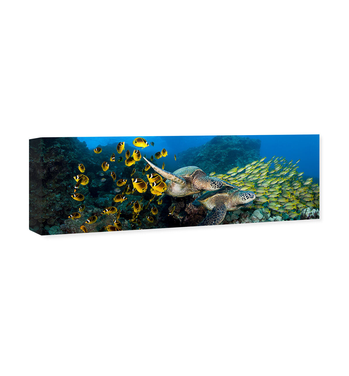 54x20/Canvas/XHD