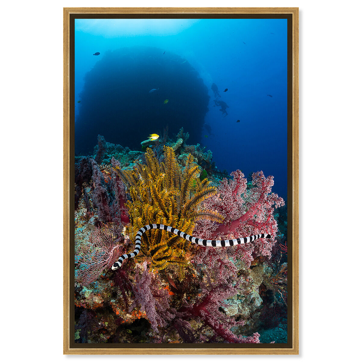 36x54/Framed Canvas/PSGLD