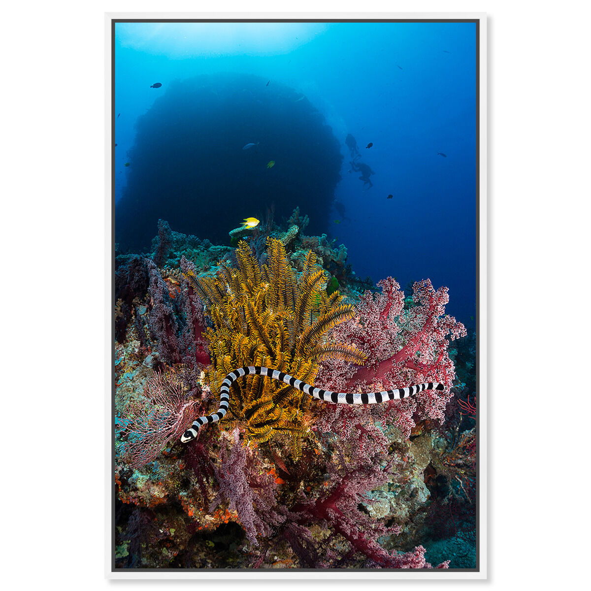 36x54/Framed Canvas/WFL