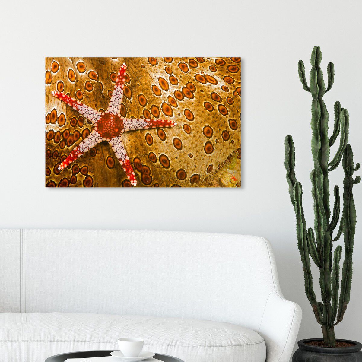 54x36/Canvas/XHD