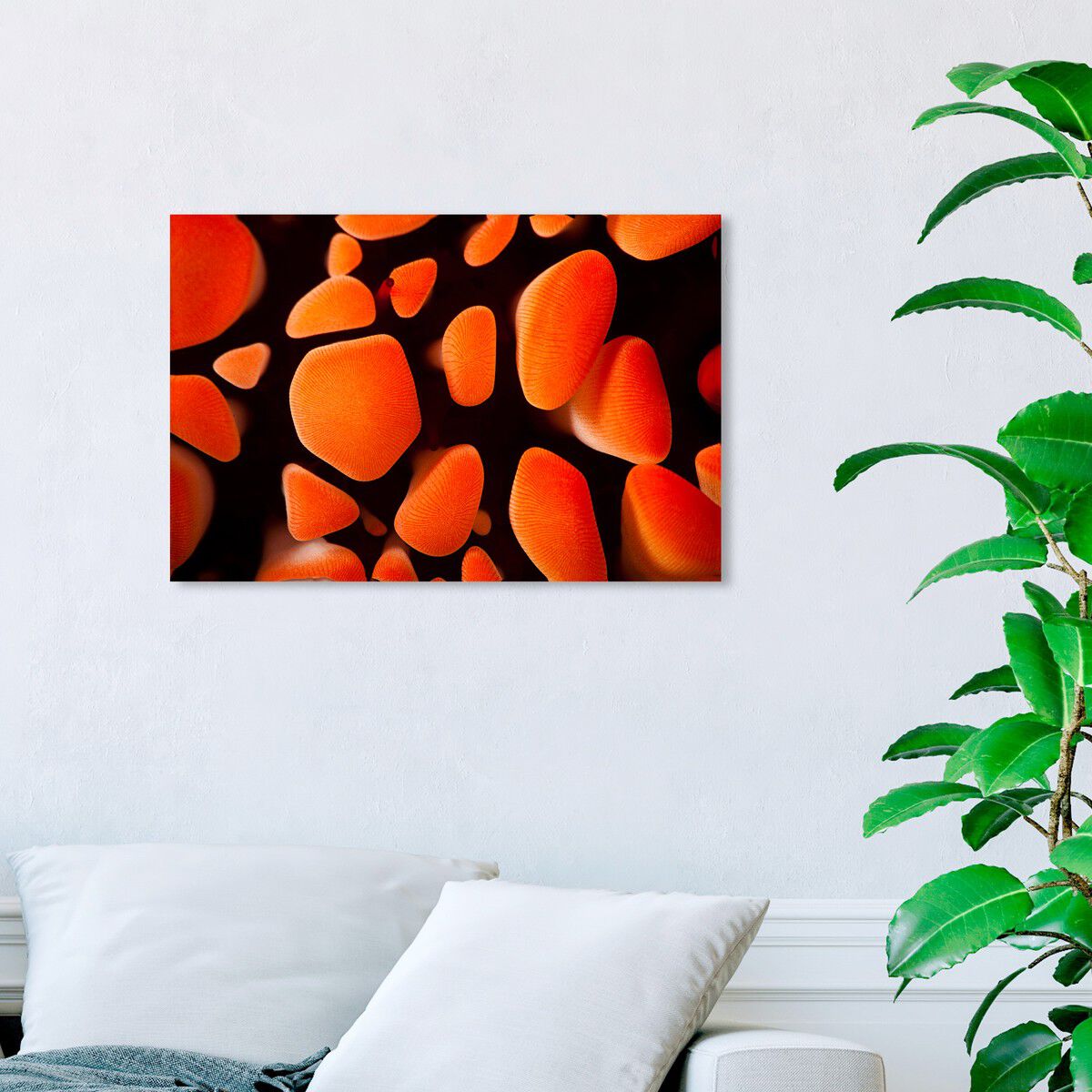 54x36/Canvas/XHD