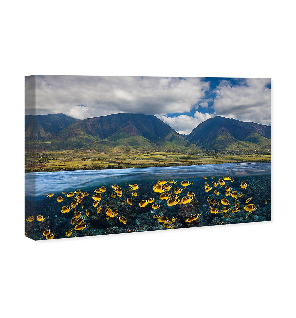 54x36/Canvas/XHD