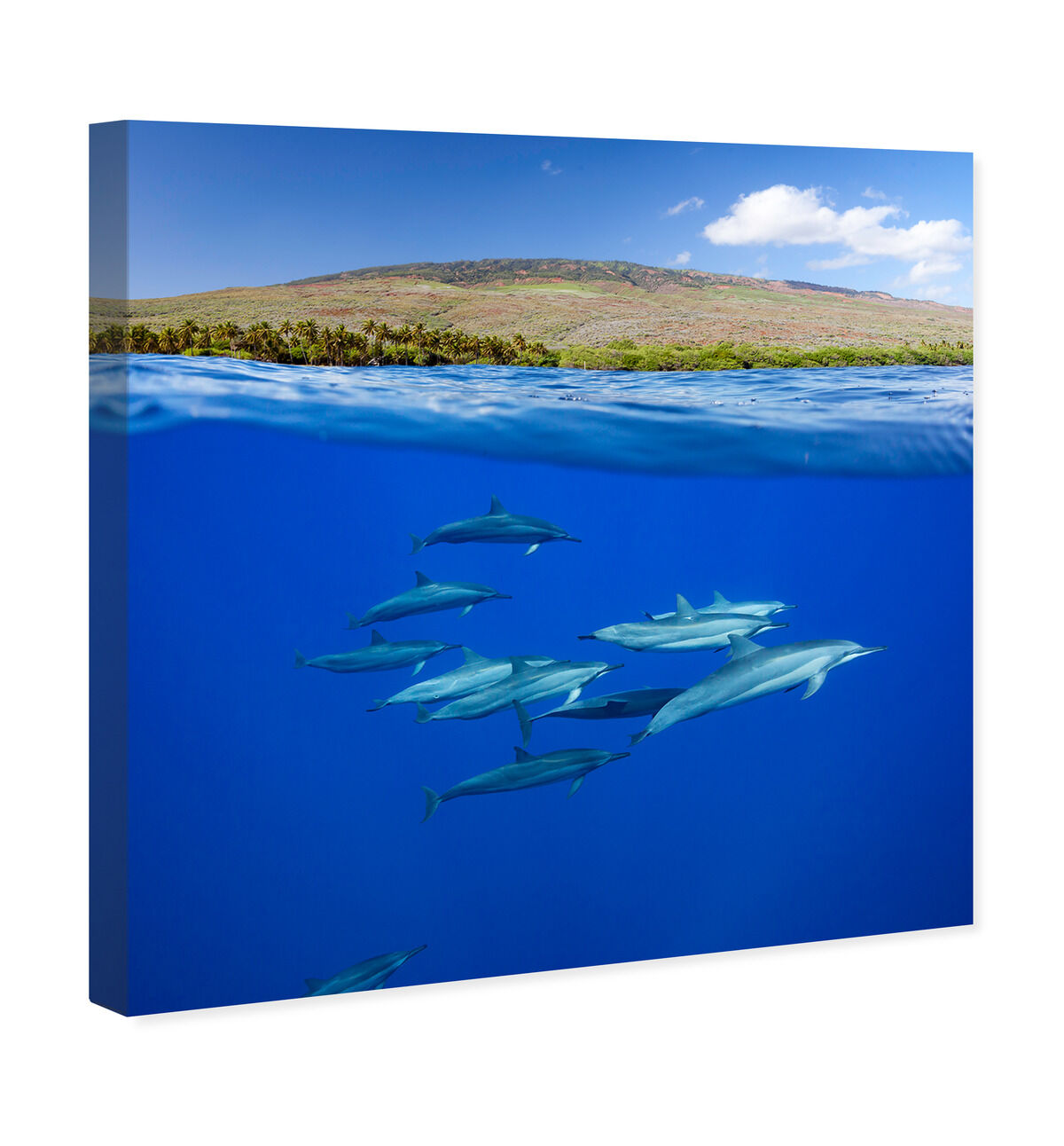 40x40/Canvas/XHD