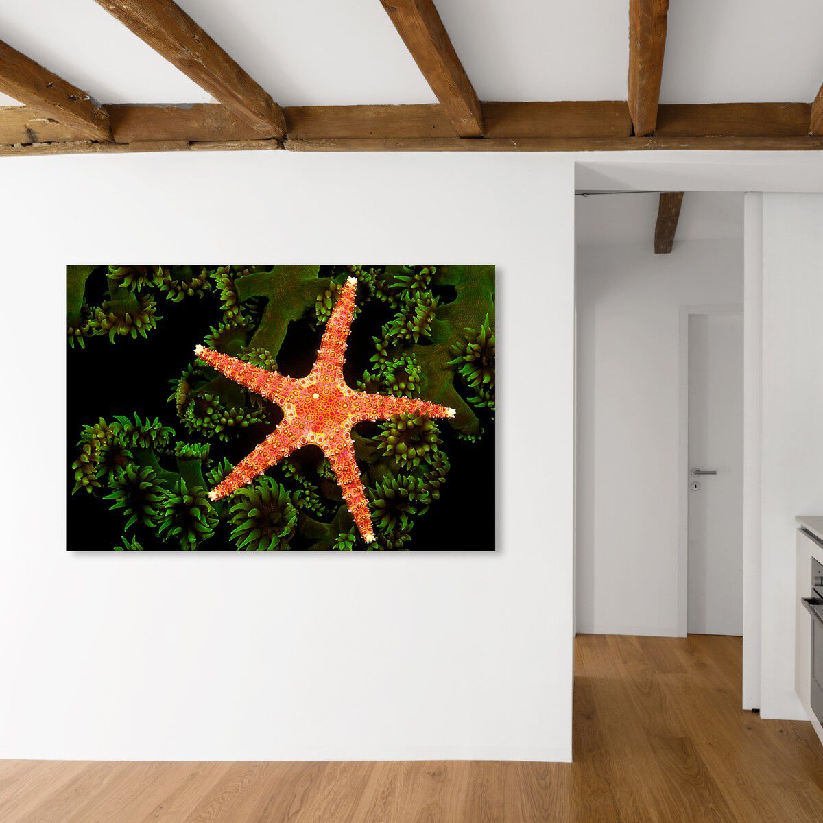 54x36/Canvas/XHD