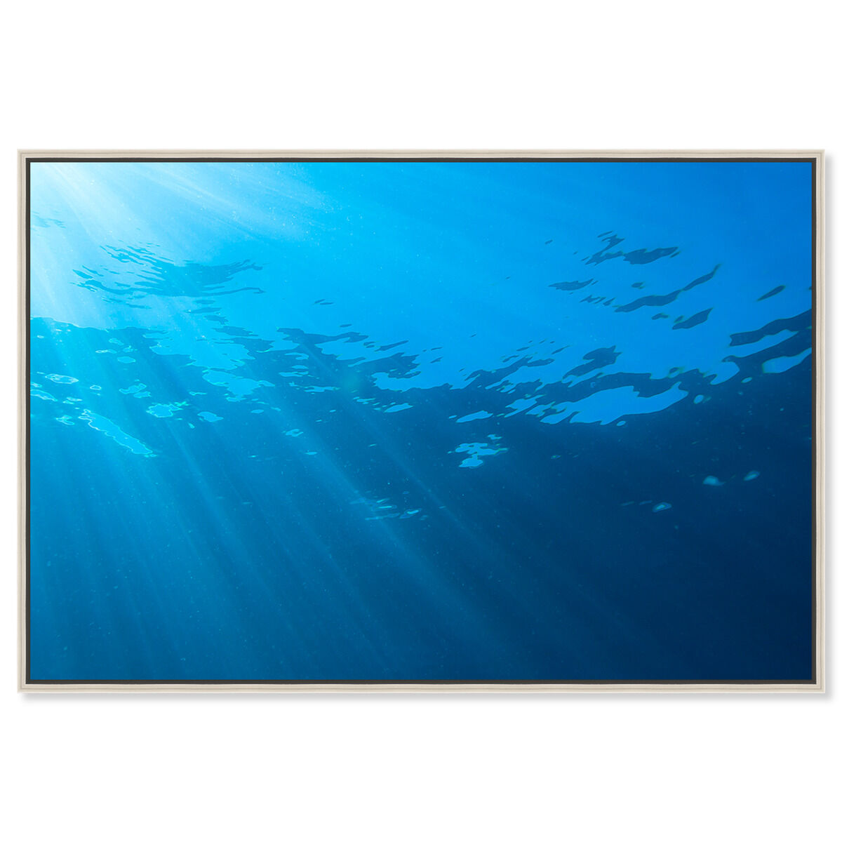 54x36/Framed Canvas/CFL