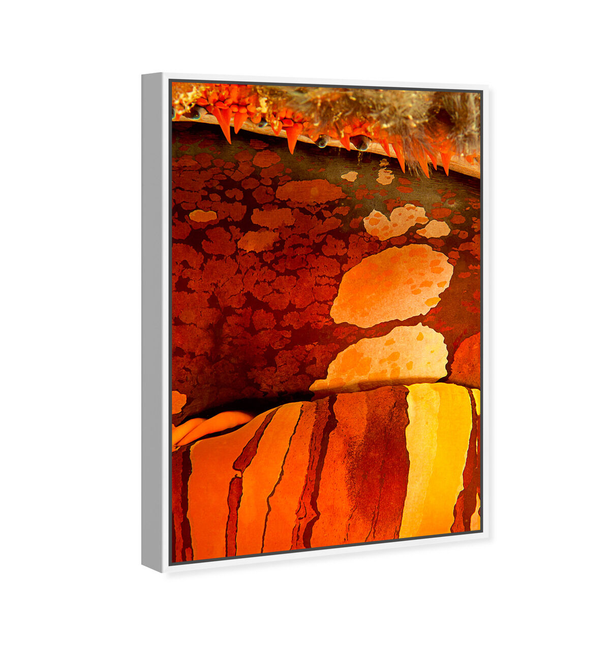 36x54/Framed Canvas/WFL