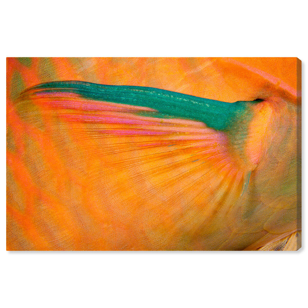 54x36/Canvas/XHD