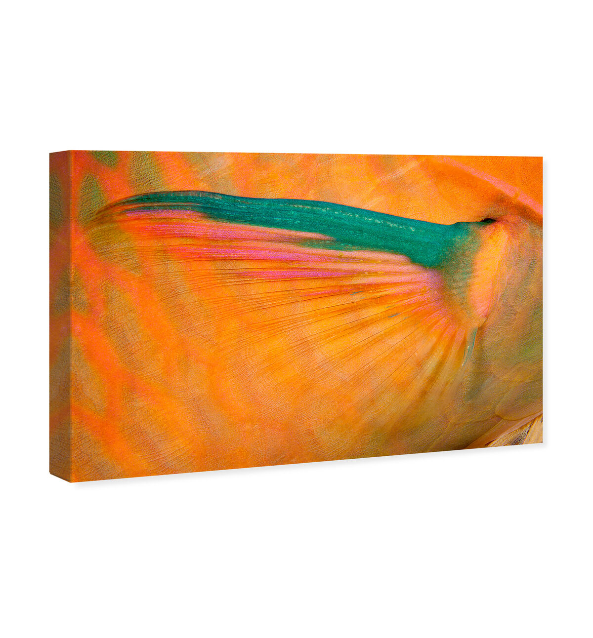 54x36/Canvas/XHD