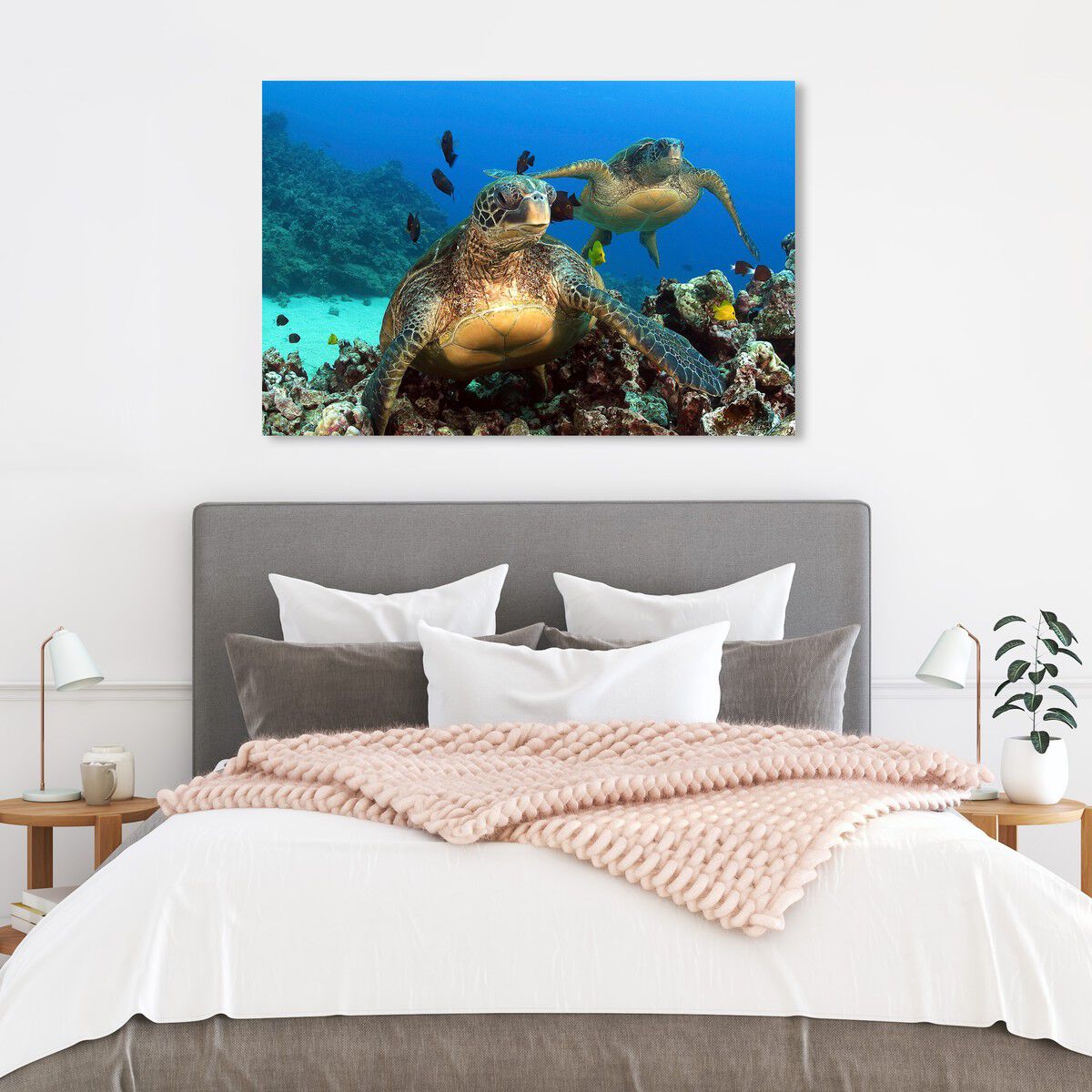 54x36/Canvas/XHD