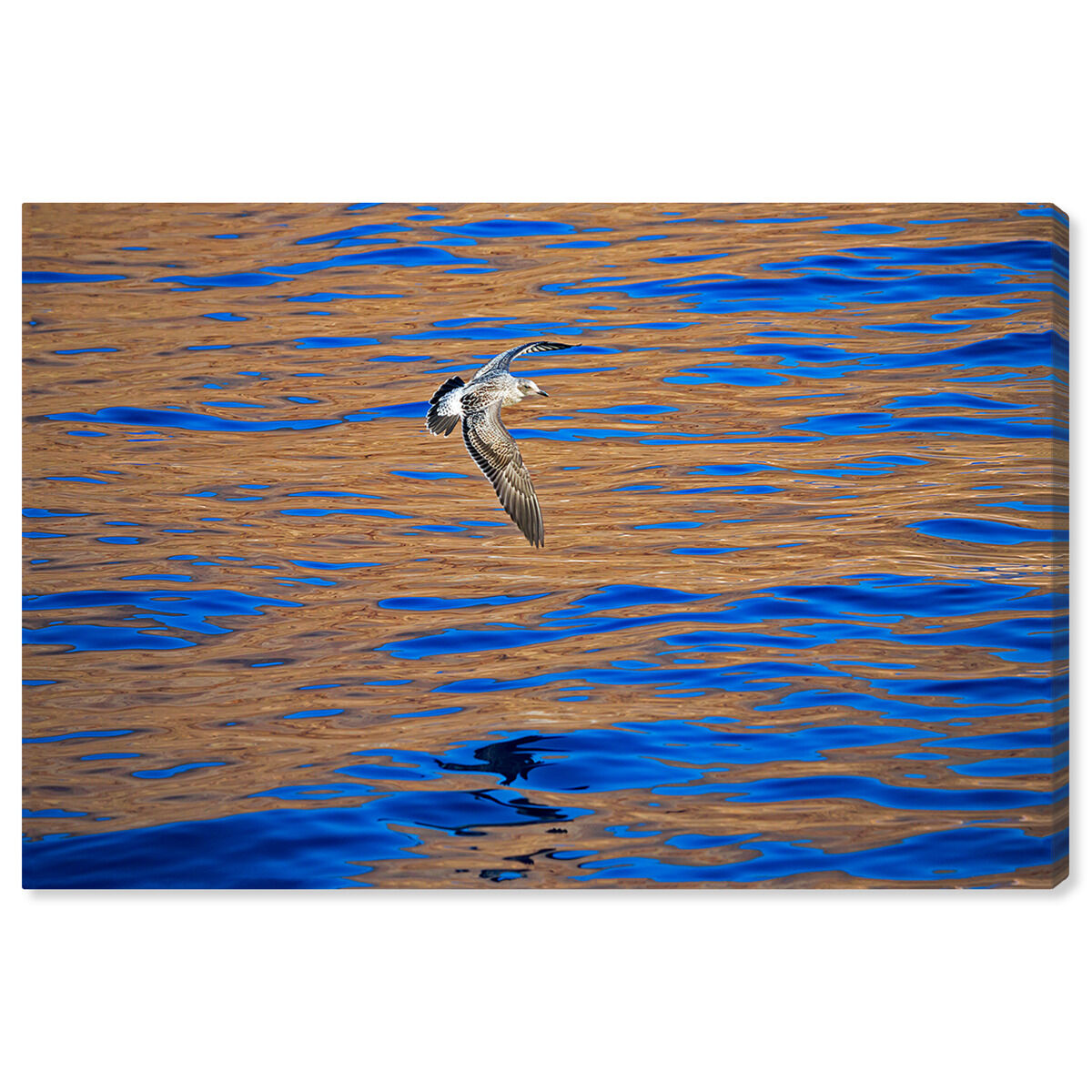 54x36/Canvas/XHD