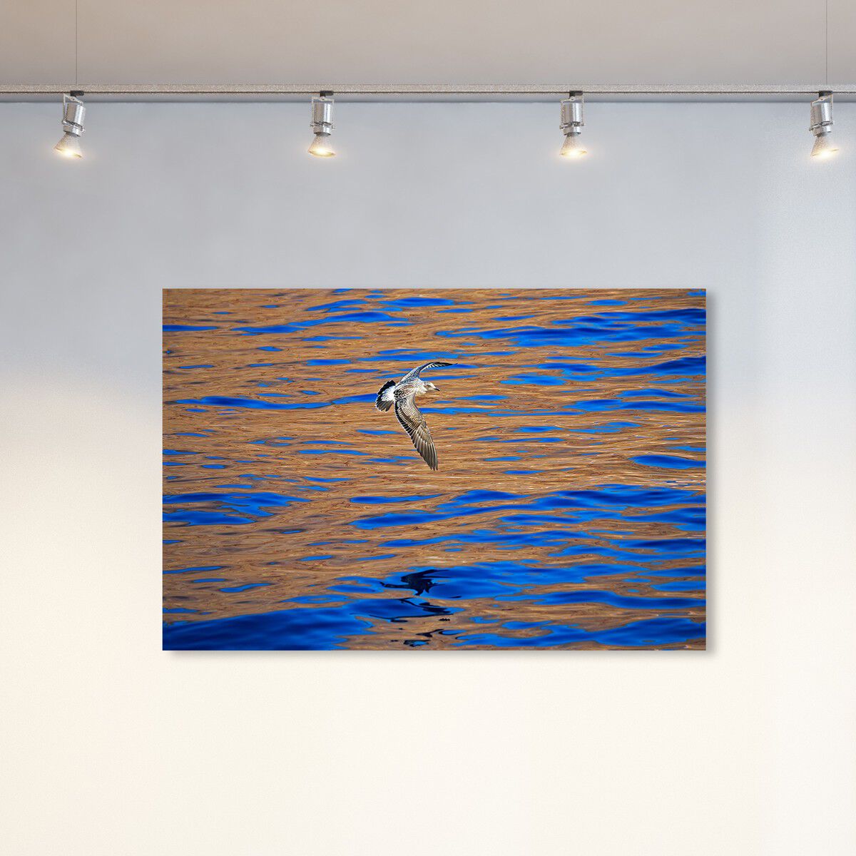 54x36/Canvas/XHD