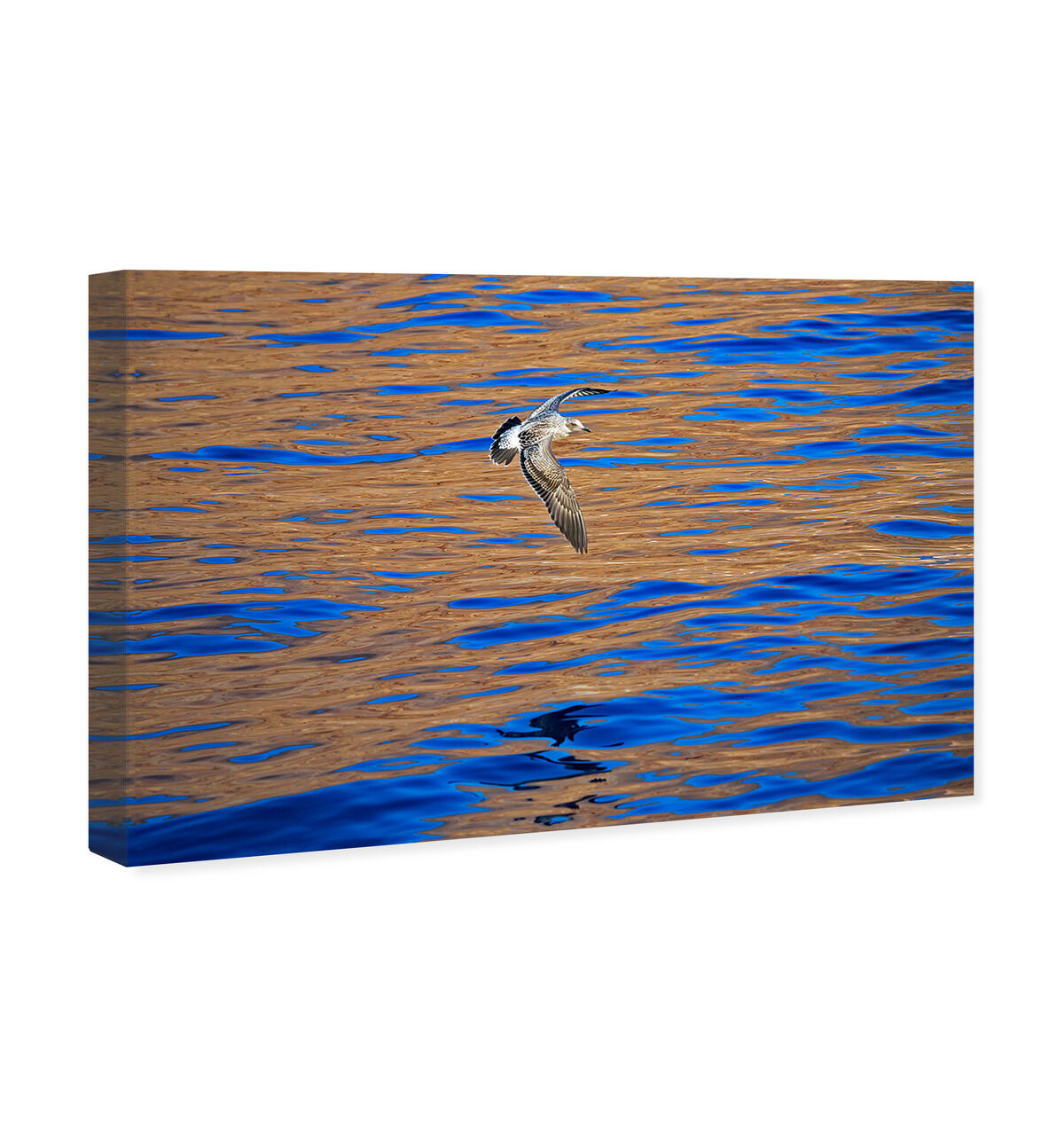 54x36/Canvas/XHD