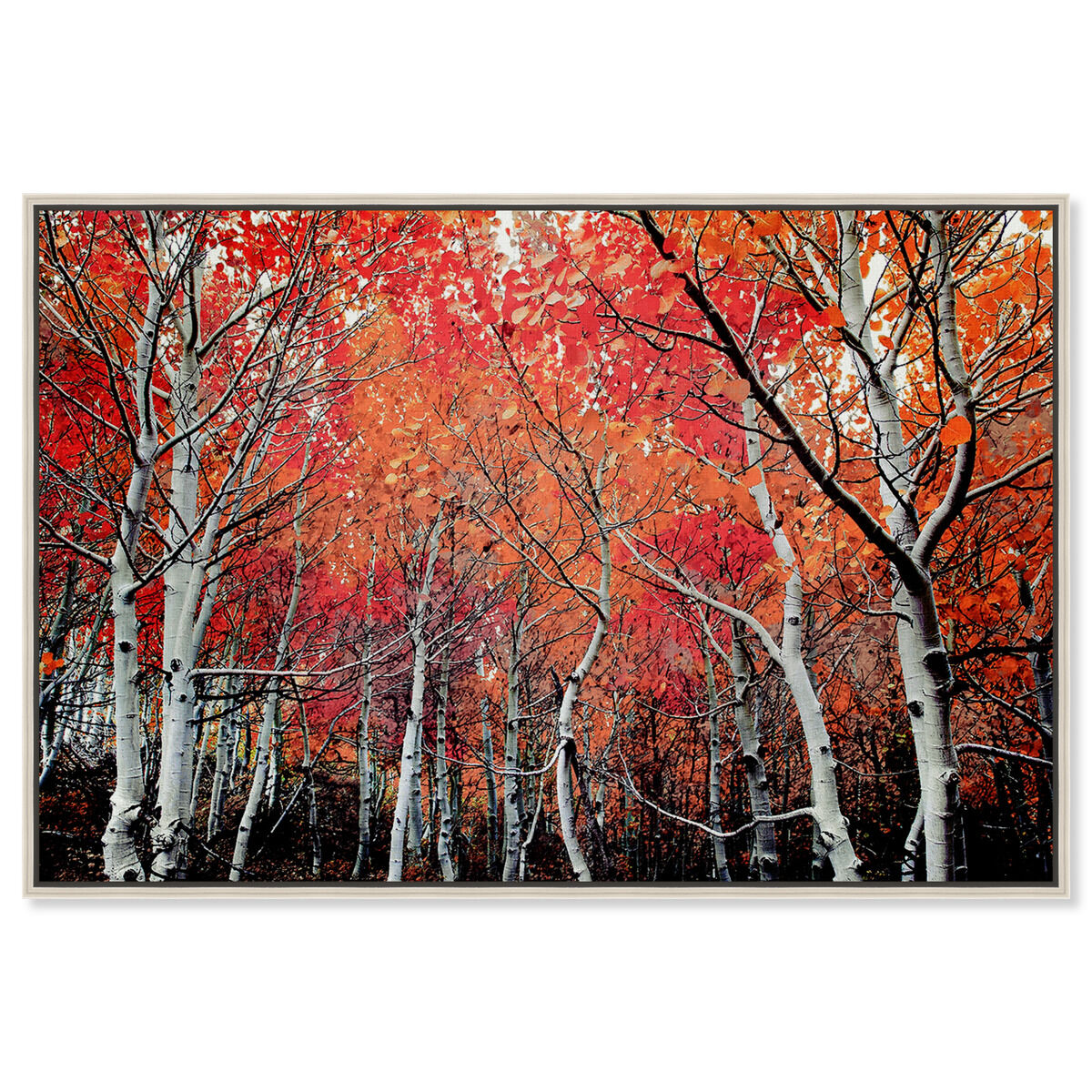 54x36/Framed Canvas/CFL