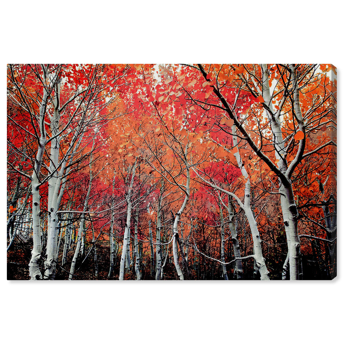 54x36/Canvas/XHD