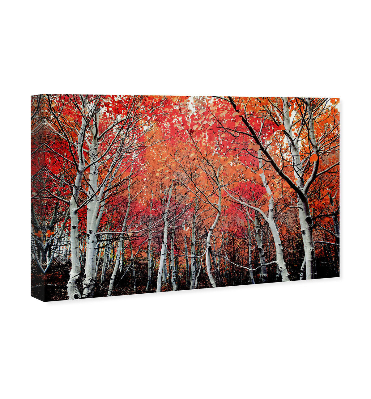 54x36/Canvas/XHD