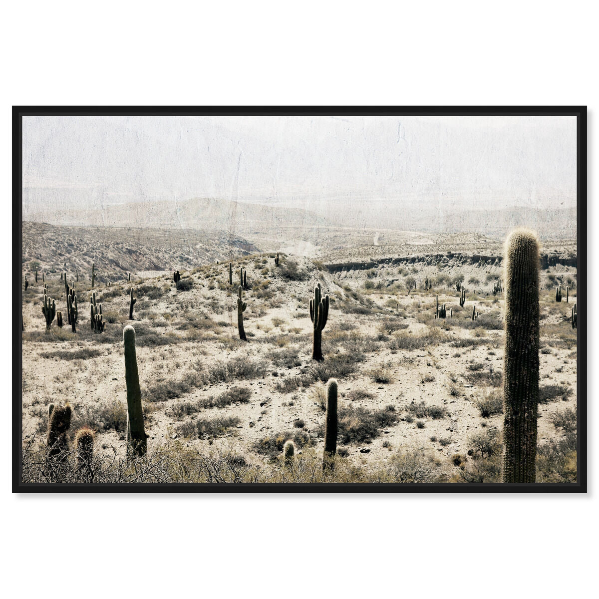 54x36/Framed Canvas/BFL