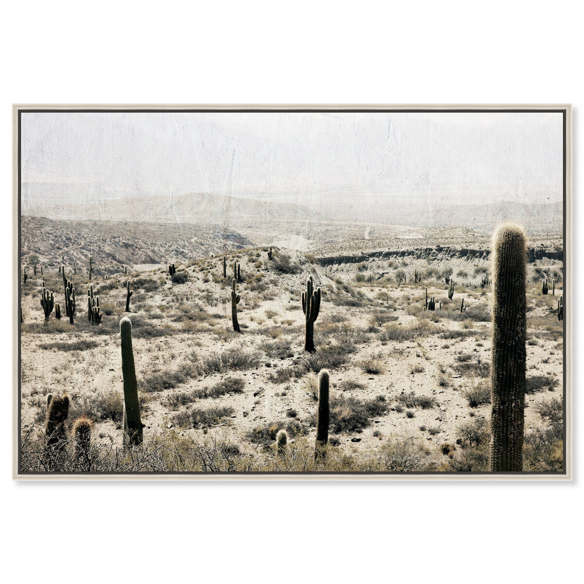 54x36/Framed Canvas/CFL