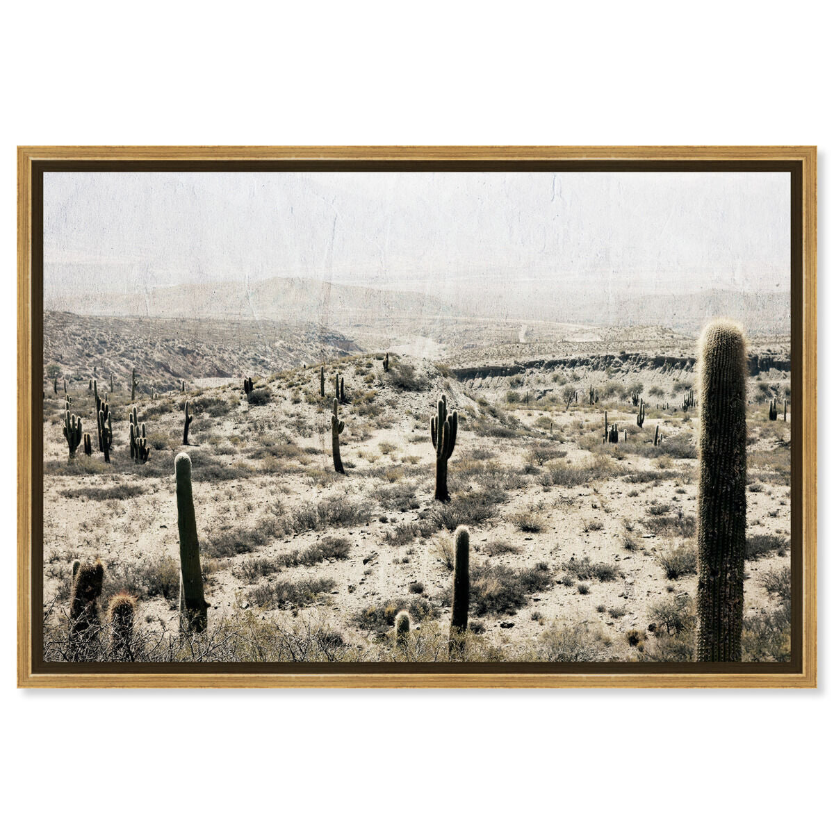 54x36/Framed Canvas/PSGLD