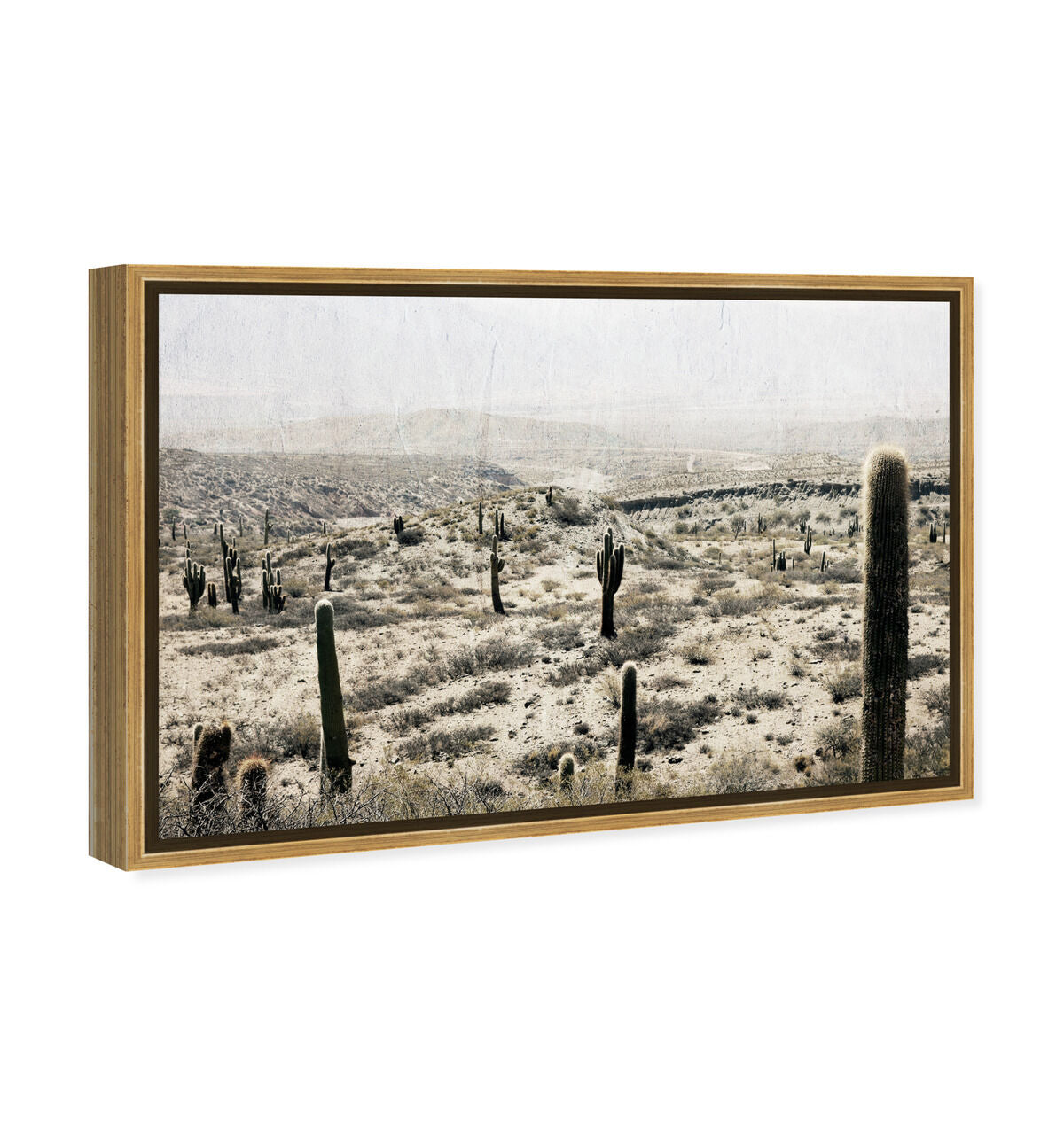 54x36/Framed Canvas/PSGLD